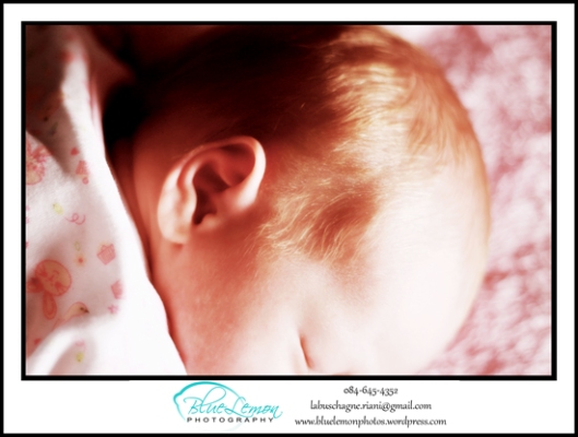newborn baby photo shoot prices