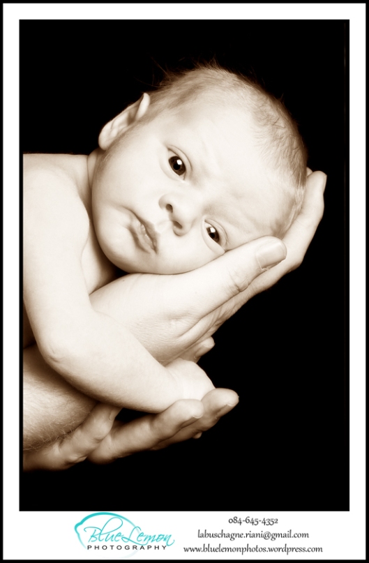 newborn baby photography ideas